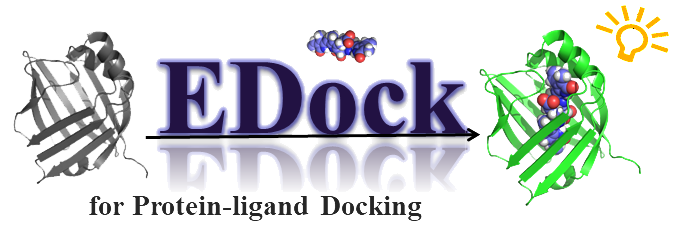 edock logo