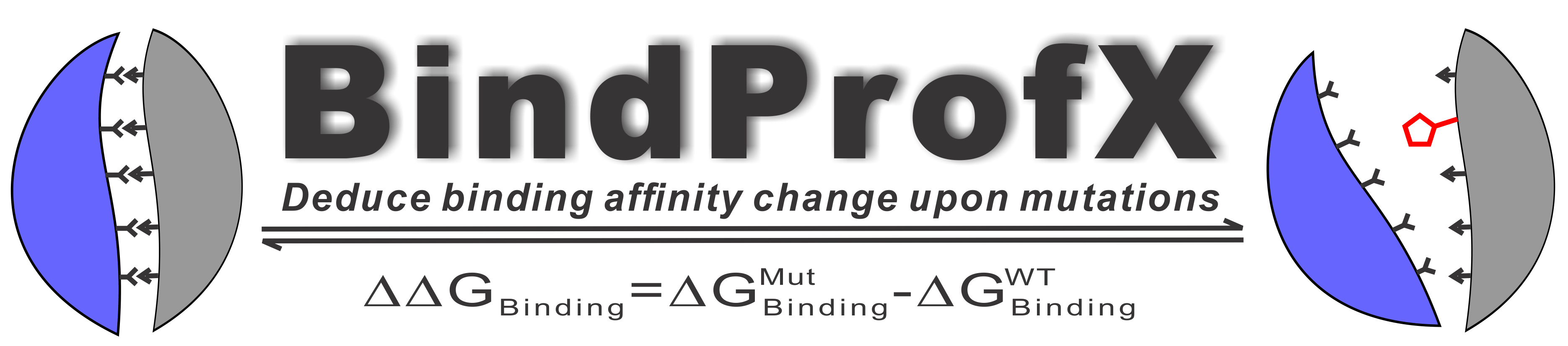 BindProfX logo